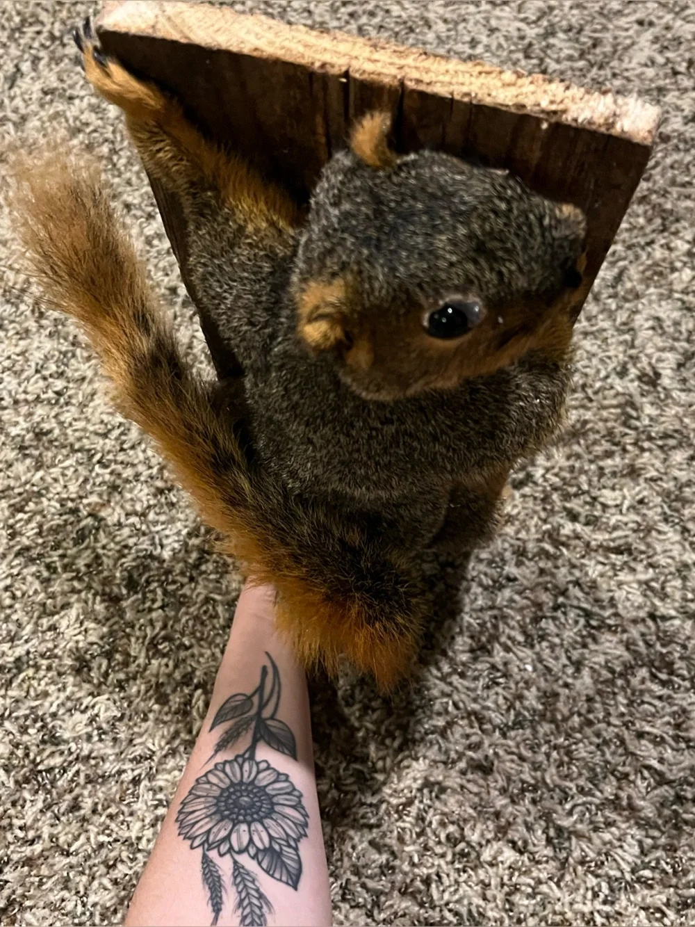 Rustic Gray and Orange Squirrel Wall Accent - Unbranded